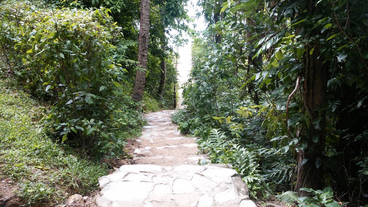 Casa Mia Resort 波尔多·格尼拉 外观 照片